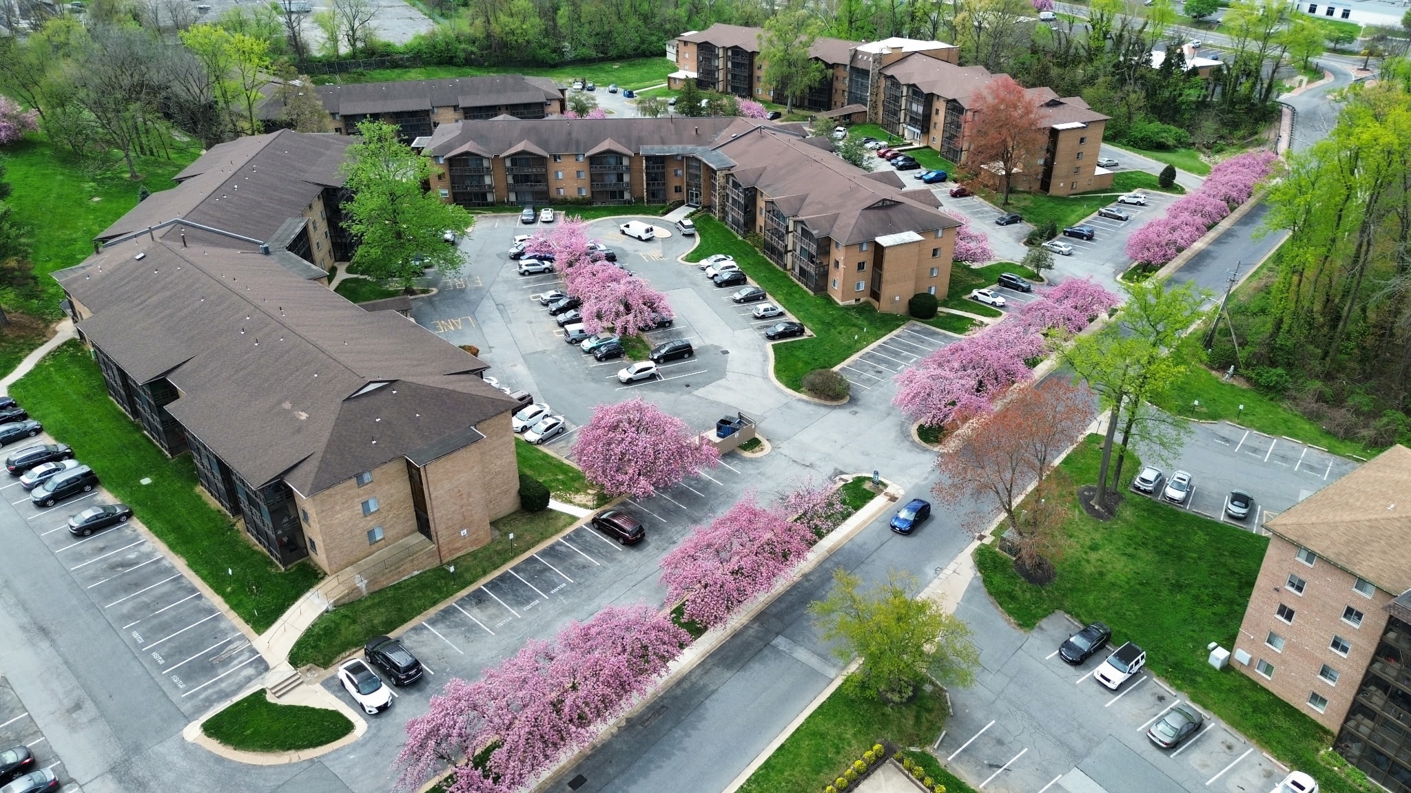 The Colony Apartments community